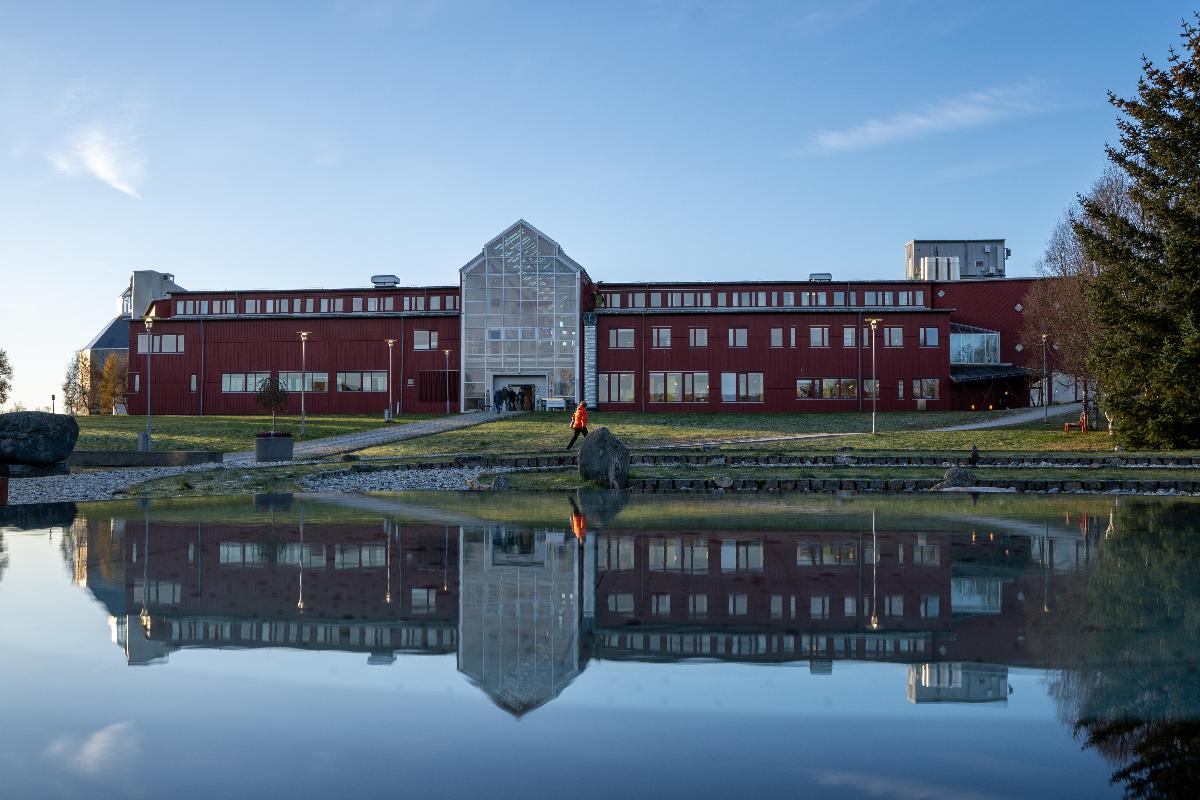 Bilde til nyhetssak